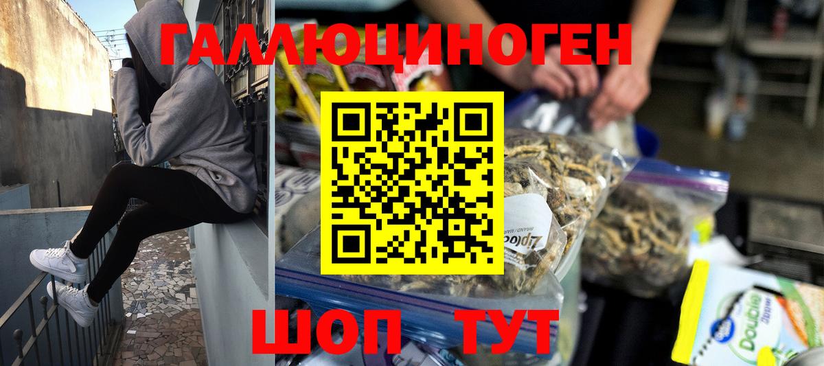 Галлюциногенные грибы мухоморы Железногорск