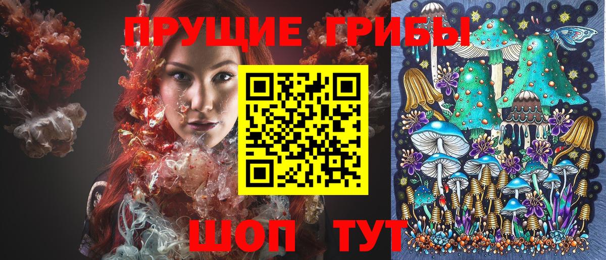 Псилоцибиновые грибы ЛСД  Псилоцибиновые грибы MAGIC MUSHROOMS  Вход с VPN  Железногорск 